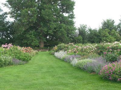 Jardin Mosaïque