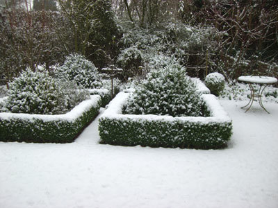 JARDIN « ENTRE CHARMILLES ET BUIS »