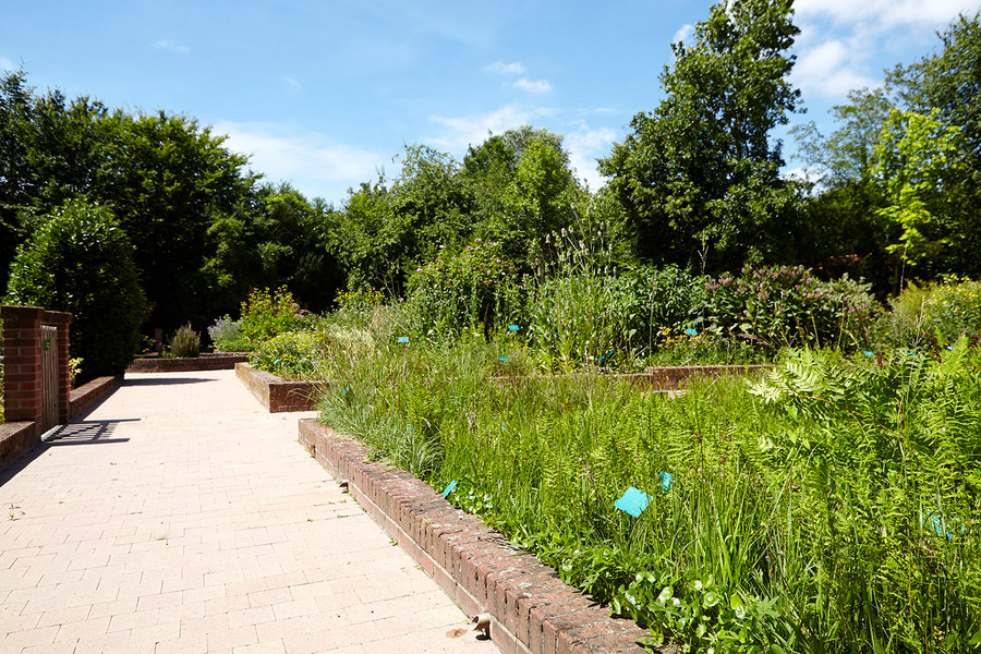 JARDIN DES PLANTES MEDICINALES MATHIAS DE L'OBEL