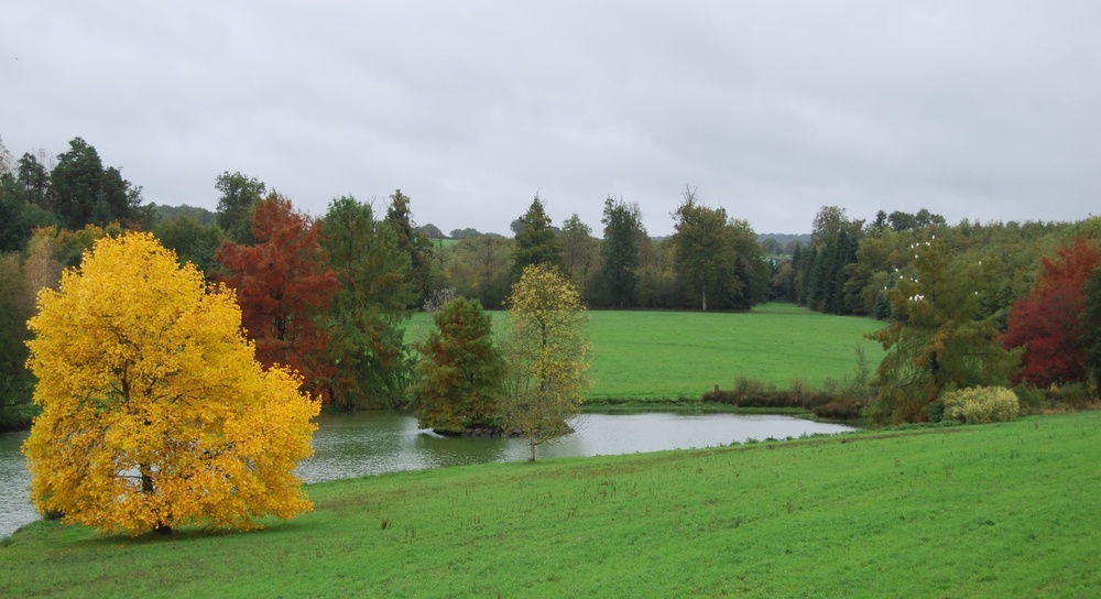 PARC ET JARDINS DU CHÂTEAU DE TOURNELAY