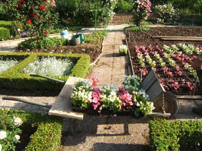 JARDINS DU CHÂTEAU D'ARLAY