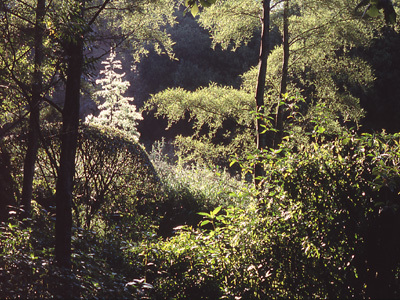 JARDINS CLOS DE LA FORGE