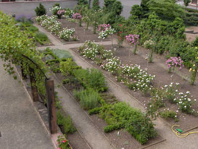 JARDIN MONASTIQUE DES DOMINICAINS DE HAUTE-ALSACE