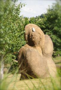 LE PARC LA TERRE PIMPRENELLE