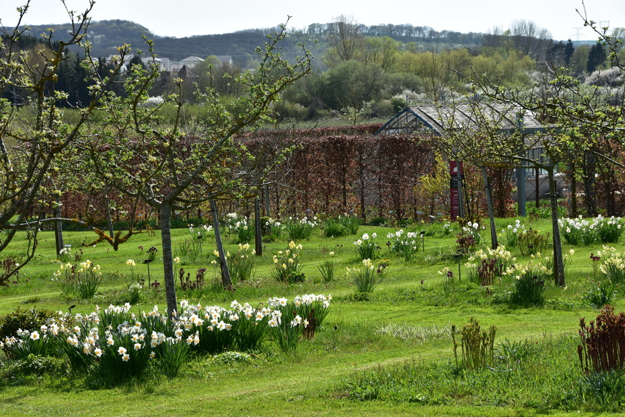 Les Jardins Fruitiers de Laquenexy