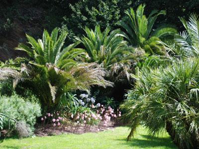 JARDIN DU CONSERVATOIRE BOTANIQUE NATIONAL DE BREST