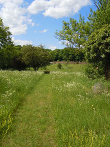 Parc du Château de Creuse