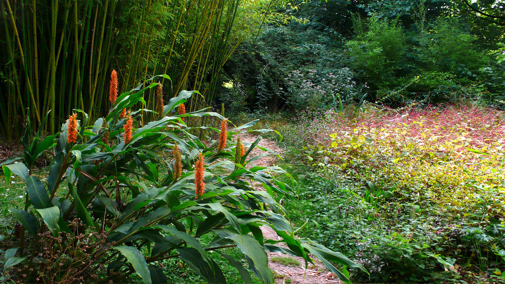 JARDIN D'ART ET D'ESSAIS