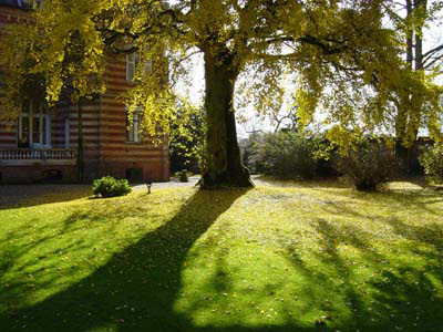 JARDIN FLORAL DU CHÂTEAU DE DIGEON