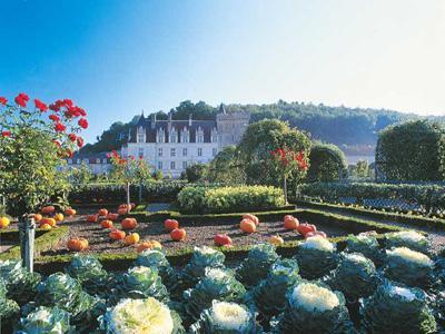 Château et Jardins de Villandry