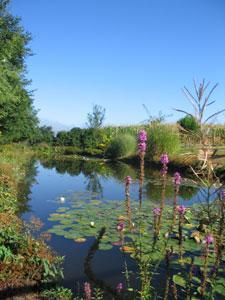 Les Jardins d'eau