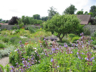 HERBARIUM DES REMPARTS