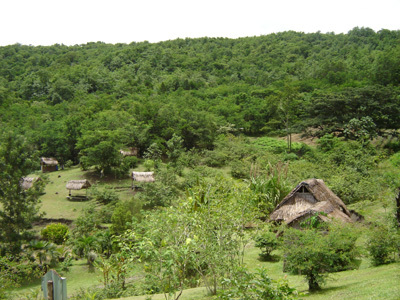 LA SAVANE DES ESCLAVES