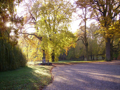 PARC DU CHÂTEAU D'OSTHOFFEN