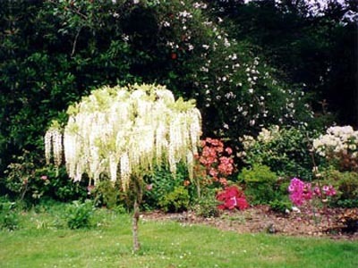 LES JARDINS DU CHÂTEAU DE VIVEN