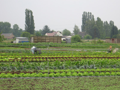 LA BARATTE LOIRE ET JARDINS