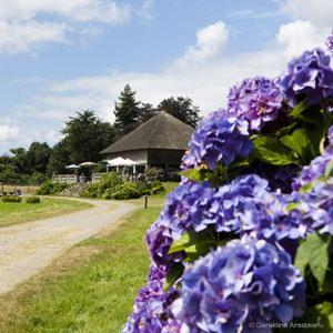 LE PARC DE SAINT SYMPHORIEN DES MONTS