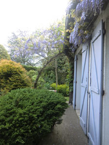 JARDIN « ENTRE CHARMILLES ET BUIS »