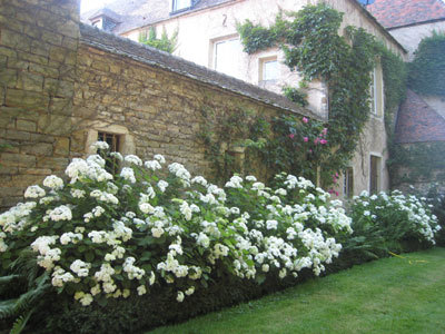 Parc et Jardins du Château de BEAUREGARD