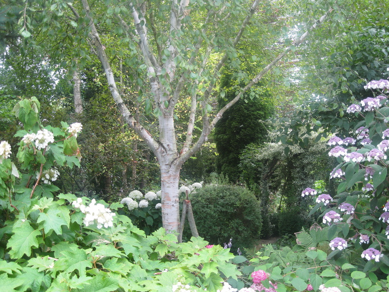 JARDIN SOUS LES CÔTES