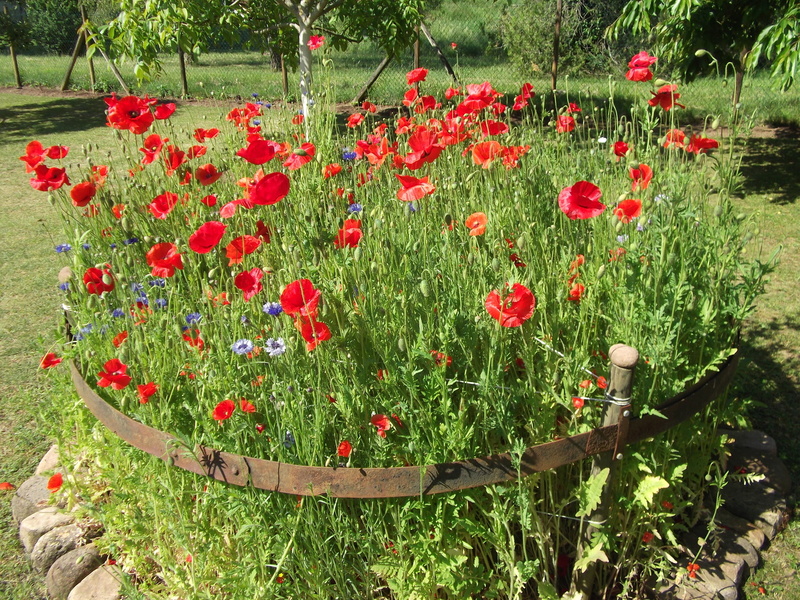 Le Moulin et ses Jardins