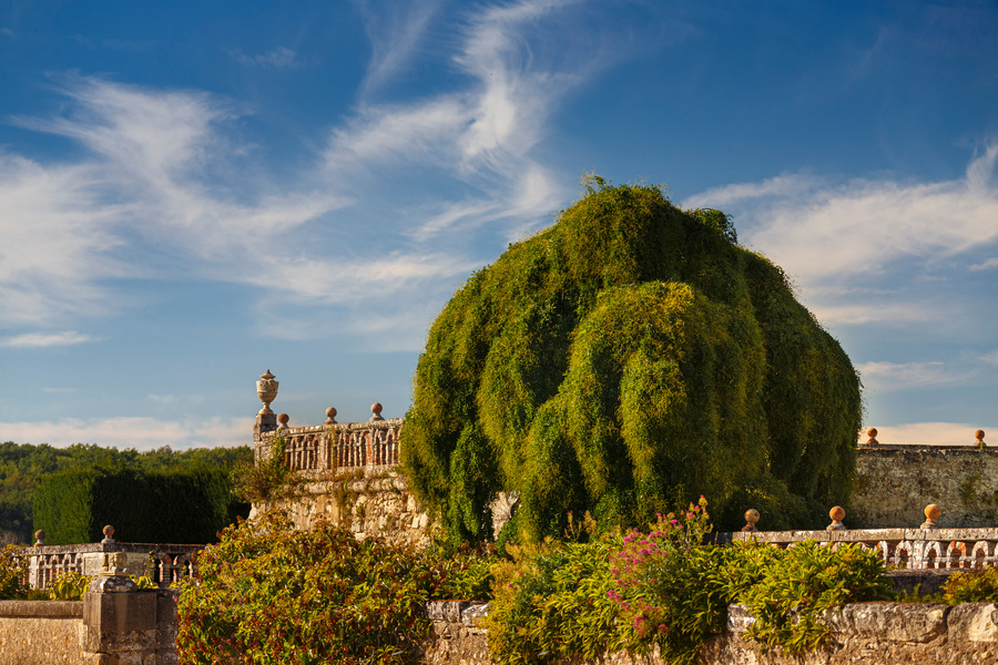 PARC ET JARDINS DU CHÂTEAU DE VALMER