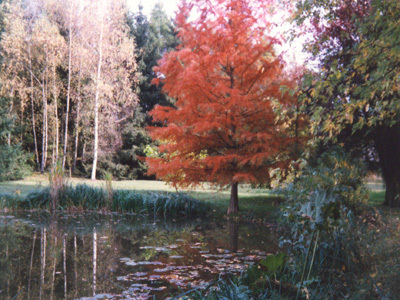 PARC DE L'ETANG