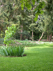 JARDIN DE LA FOLIE MARCO