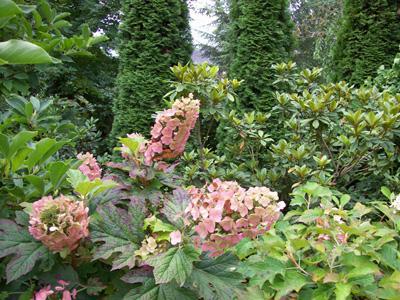 JARDIN DU MOULIN SAINT-JEAN