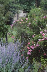 LES JARDINS DE L'ALBAREDE