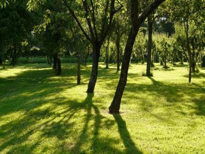 Parc du château de La Montchevalleraie