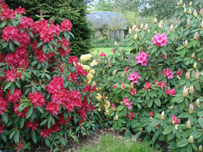 Jardin de la Vallée