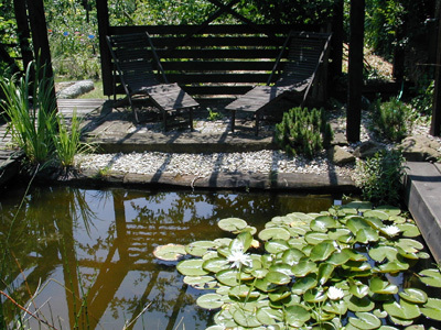 JARDIN DE L'ESCALIER