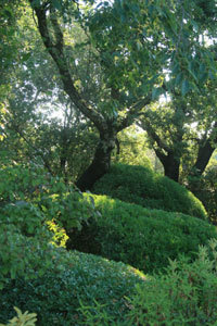 JARDIN DE LA TAILLADE