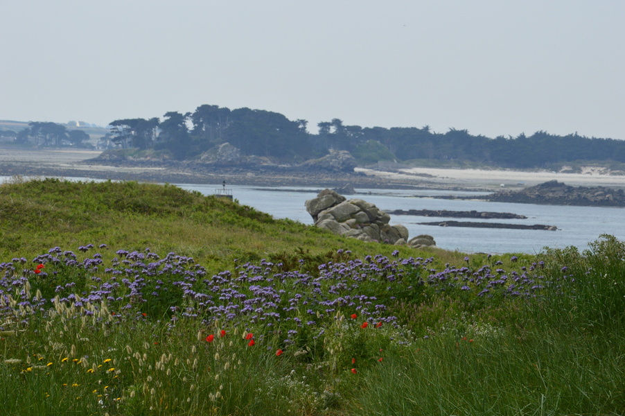 JARDIN GEORGES DELASELLE