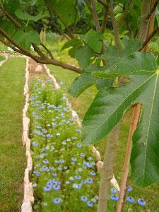 JARDIN BOTANIQUE TEXTILE