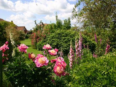 LE JARDIN DE GINETTE