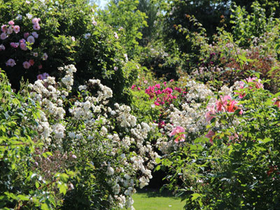 Les jardins de Roquelin