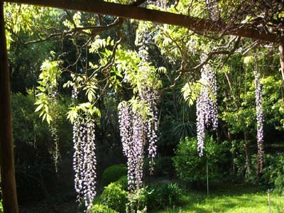 JARDIN DE LA CHÈVRE D'OR