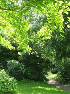 PARC DU CHÂTEAU DE VENDÔME