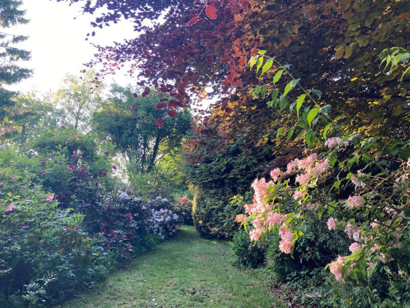 LE CLOS de CHANCHORE- Jardin Botanique