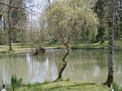 PARC THERMAL