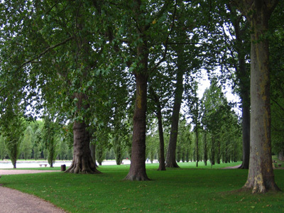 PARC DU DOMAINE DE SCEAUX