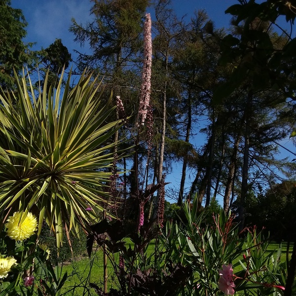 Les jardins de Brucan