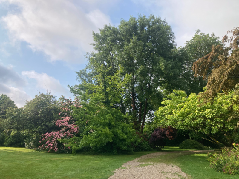 LE CLOS de CHANCHORE- Jardin Botanique