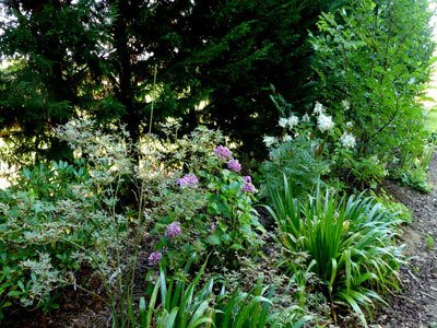 Le Jardin de Cassandra et sa Pépinière