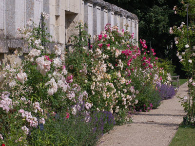 JARDINS DE L'ABBAYE ROYALE DE CHAALIS