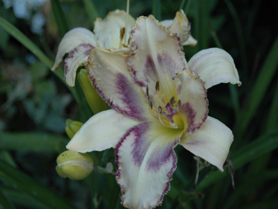 LE BONHEUR EST DANS LE JARDIN