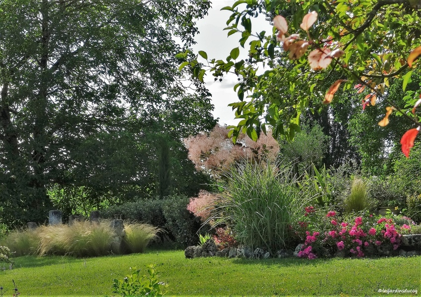 LES JARDINS DU COQ