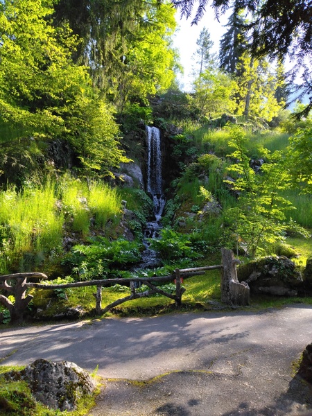 Jardin botanique alpin de la Jaÿsinia